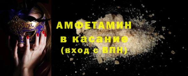сатива Новокубанск