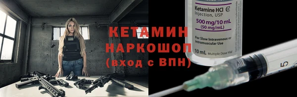сатива Новокубанск