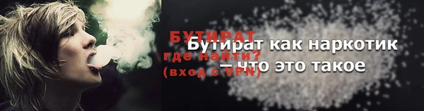 сатива Новокубанск