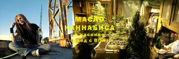 сатива Новокубанск