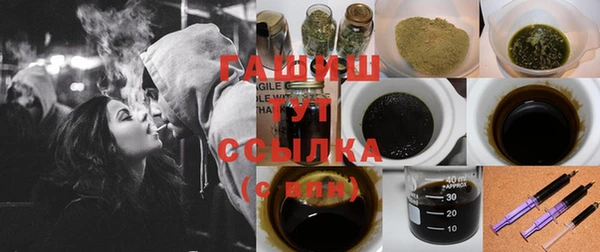 сатива Новокубанск