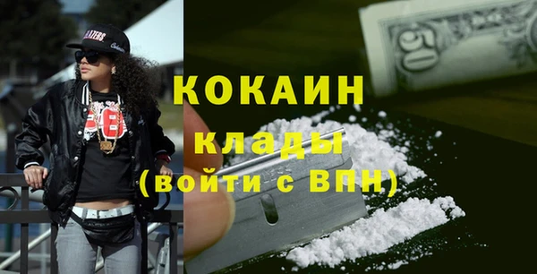 сатива Новокубанск